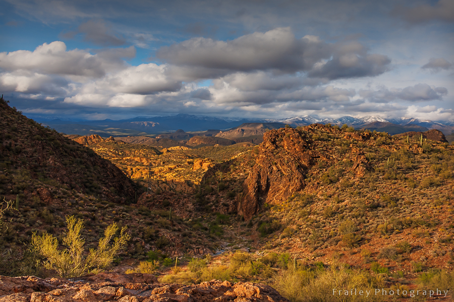 A wintery scene in the desert outside of Phoenix Arizona.