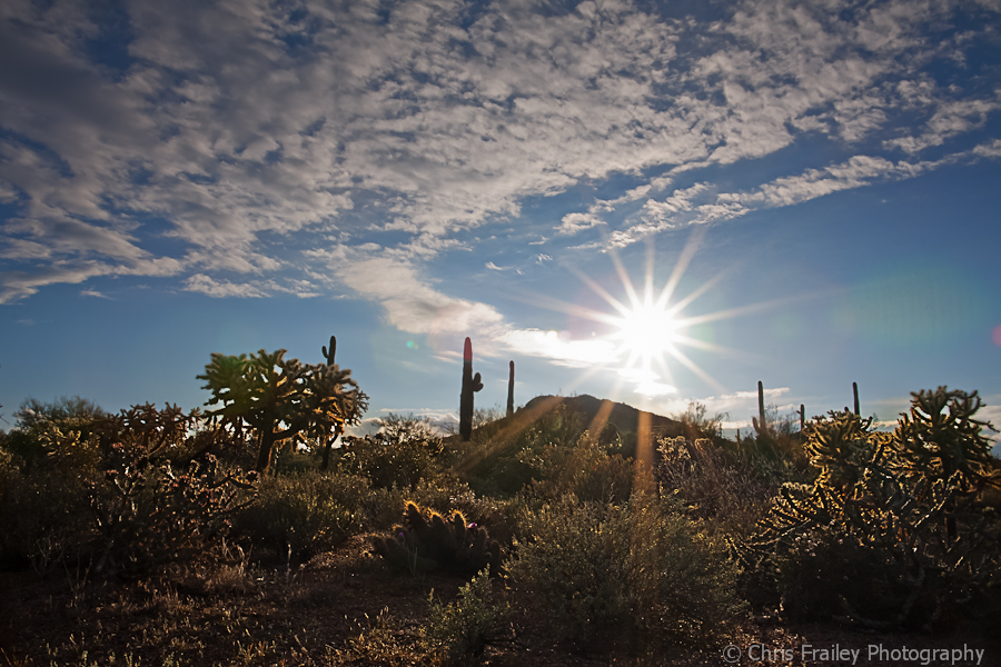 The sun sets on the Arizona desert.