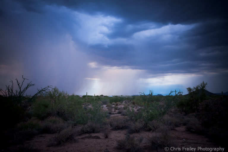 Desert Rain