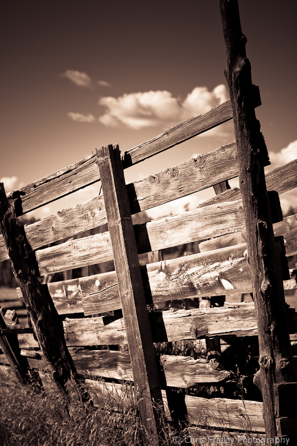An old weathered wooden fence.