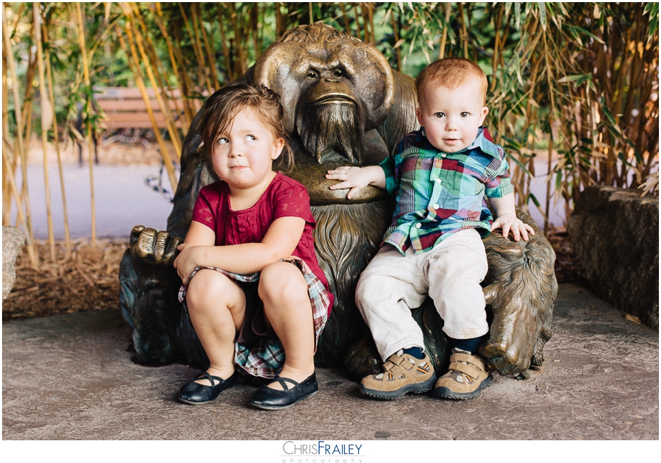 A fun time with family portraits at the Phoenix Zoo