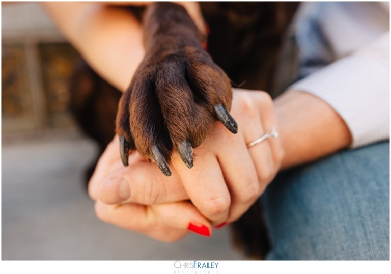 Couple holding hands with their dog's paw.