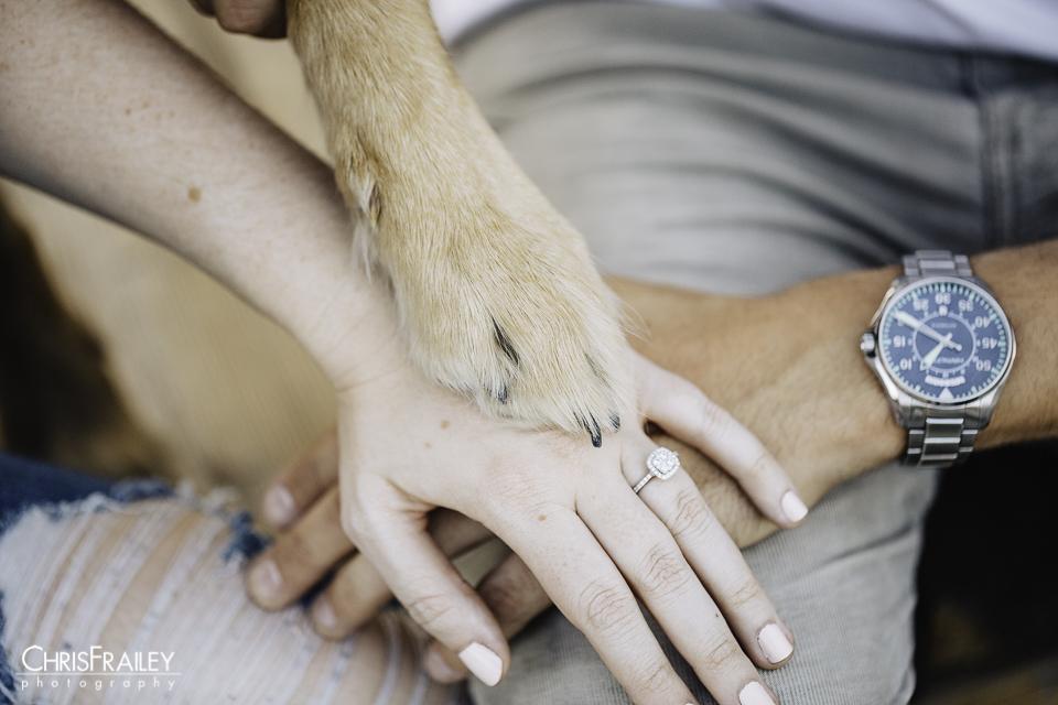 Engaged couple holding hands with their dog's paw. 