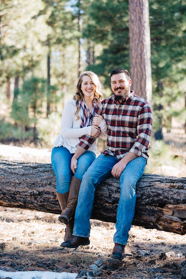 Engaged couple sitting on a downed pine tree. 