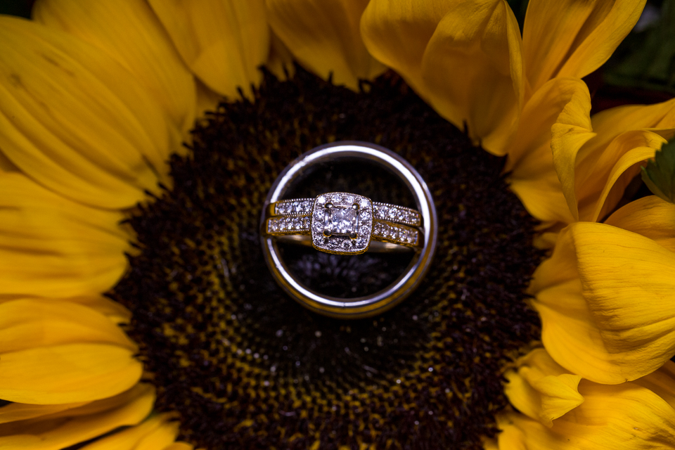 Wedding rings inside of a sunflower. 