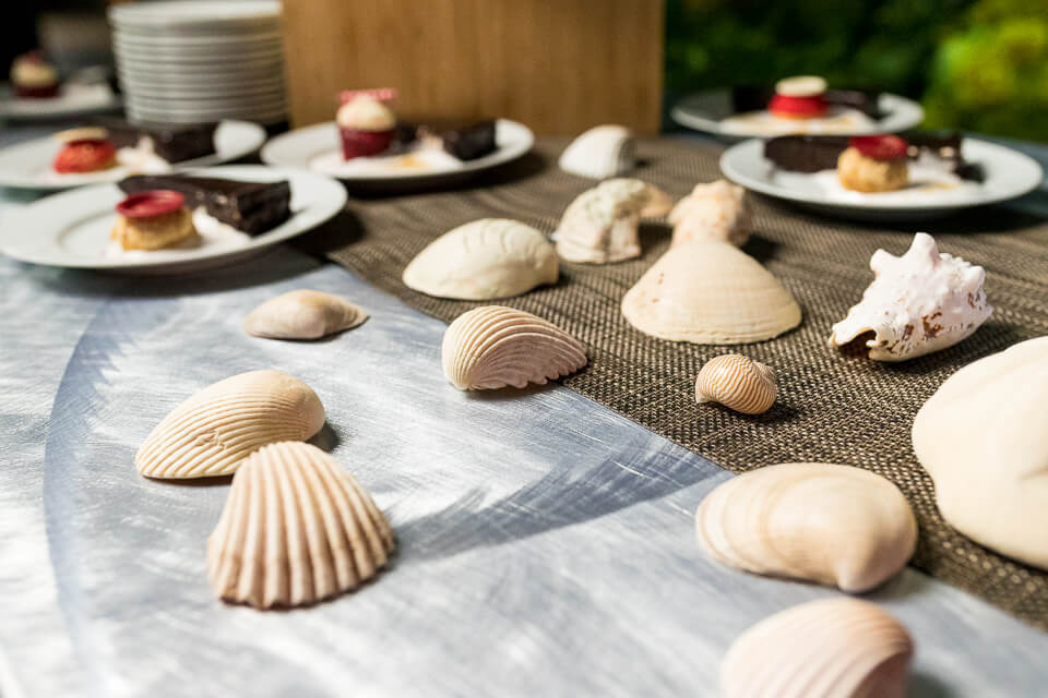 Sea shells decorate the desert table at a OdySea Aquarium.