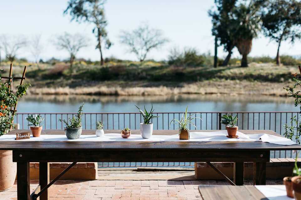 Desert plants decorate a wedding reception table